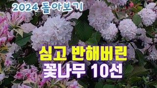 심어보고 반한 정원의 꽃나무 10선 추천