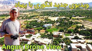 ویدیوی جدید از منطقه انگوری با پهباد | Anguri Jaghori Drone View