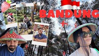 Travel  Indonesia  | First Time in Bandung Vlog