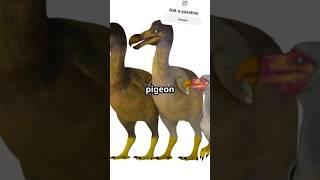 The Dodo's Hilarious Family Reunion! #dinosaur #successmind #facts #dino #funny #memes #animals