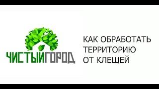 Как обработать от клещей