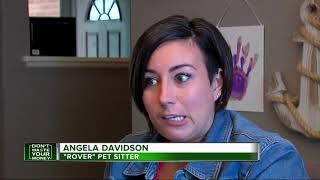 Pros and cons of pet sitters