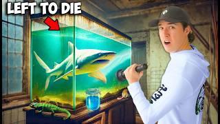I Found an Abandoned Garage Full Of Live Fish