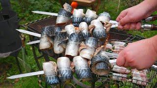 FISH SHASHLIK | MACKEREL fish on the grill. ENG SUB