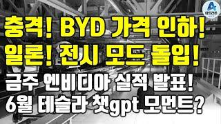 충격! BYD 가격 인하! 일론! 전시 모드 돌입! / 금주 엔비디아 실적 발표! / 6월 테슬라 챗gpt 모먼트?