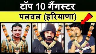 Top 10 Gangster in Palwal (Haryana)