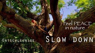 Feel Peace in Nature and Slow Down