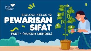 BIOLOGI SMA Kelas 12 - Pewarisan Sifat PART 1 (Hukum Mendel) | GIA Academy