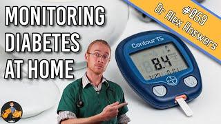 How To Monitor Your Pet's Diabetes at Home (blood glucose +more!) - Dog + Cat Health Vet Advice