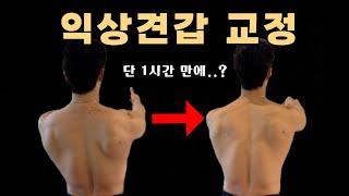 어깨뼈가 뒤로 빠지는 익상견갑 교정 운동‼️ 전거근 제대로 운동하는 법