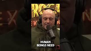 Joe Rogan and Dwayne Johnson on PALESTINE-ISRAEL conflict! #2063 #shorts #israel #palestine #war