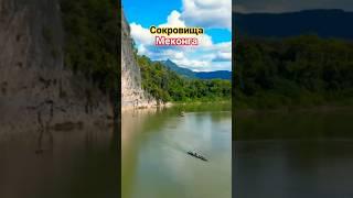 Сокровища Меконга! Что находится на дне реки? СМОТРИТЕ ПОЛНОЕ ВИДЕО! #природа #азия