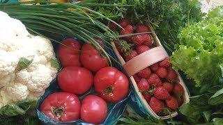 Влог. Покупки для детей, продукты, прогулка с дочкой и рецепт мороженого