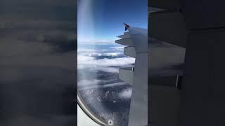 Как уехать в США:  Языковые курсы #америка #иммиграция #сша #учеба #курсы #студент #виза #shorts