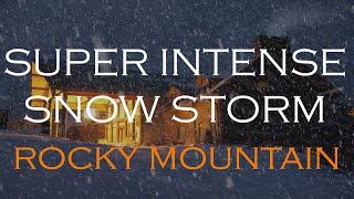 SUPER INTENSE SNOW STORM | Howl wind Snowfall | Mountain ambience | Rocky Mountains Colorado