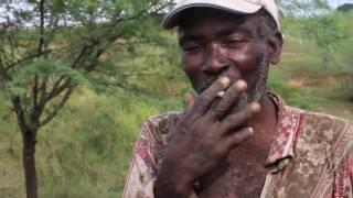 Haiti's Last Tree #Film4Climate