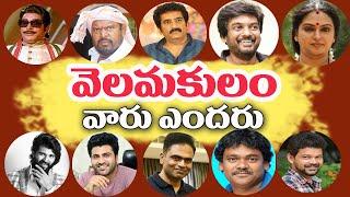 Velama caste Actors | Telugu Velama Heroes | Actors Caste | Telugu movies | Tollywood Stuff