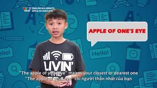 VTV7 | English in a minute | Số 20: Apple of one's eye