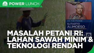 Masalah Petani RI, Lahan Sawah Berkurang & Teknologi Pertanian Rendah