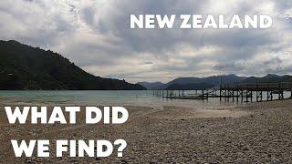 GALS Beach Larking a PRIVATE ISLAND in NEW ZEALAND