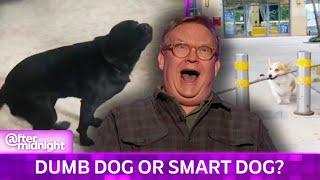 Andy Richter Is Easily Outsmarted by Genius Dog