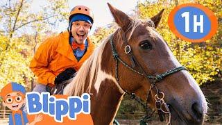 Blippi's Horsin' Around  | Blippi | Kids Songs | Moonbug Kids