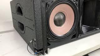 ZSOUND LA208 Dual 8inch line array speaker!