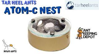 Tar Heel Ants - Atom C Nest - Ant Keeping