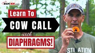 How to Cow Call with Diaphragm Elk Calls