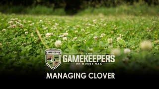 Managing Clover