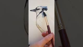 Watercolor Blue Jay