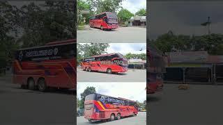 Makmur Tronton Royal Class 2-2, memasuki Terminal. #shorts #busmakmur #busindonesia #busmania.