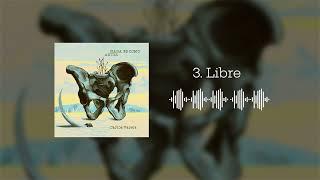 Carlos Varela - Libre (Audio Cover)