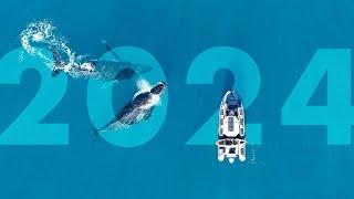 Highfield Boats 2024 Showreel