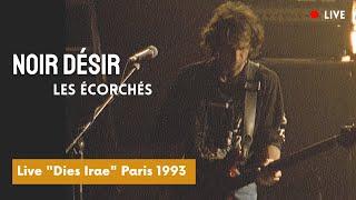 Noir Désir - Les écorchés (Live officiel « Dies Irae » Paris 1993)