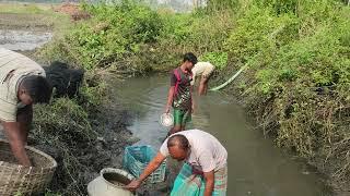 আজ ছোট্ট ডোবা থেকে অনেক মাছ ধরলাম