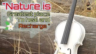 # art one1 # nature # violin # what's up # status # youtube # shorts...