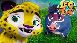 Leo and Tig  New collection for children  Fun family Good cartoon for children