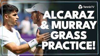 Wimbledon Champs Carlos Alcaraz & Andy Murray Practice Together on Grass 