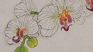 國畫蝴蝶蘭畫法(二) Painitng moth orchid in Chinese painting (2)