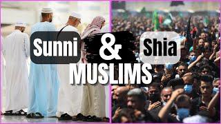 SUNNI & SHIA Muslims EXPLAINED in 7 Minutes #islam #sunni #shia