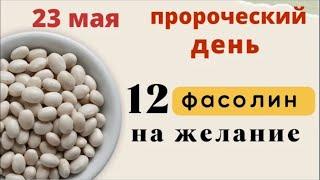 23 мая день апостола Симона. В этот день и простая подковка золотой окажется