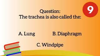 10 Respiratory System Quiz  (Science)