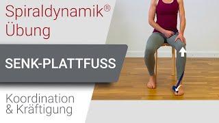 Spiraldynamik® Übung: Senk-Plattfuss - Koordination & Kräftigung