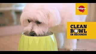 Take the Pedigree Clean Bowl Challenge Like Alaya F