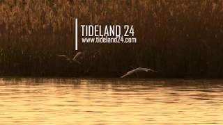 Tideland 24 - November 4, 2017