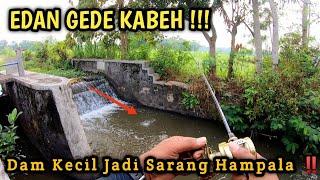 Spot Potensial ‼️ Ikan Hampala  Sungai Kecil #castinghampala #spotmancingjogja