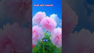 Amazing flowers | flower status | nature | #youtubeshorts #youtubefeed #ytview #ytshorts #shorts