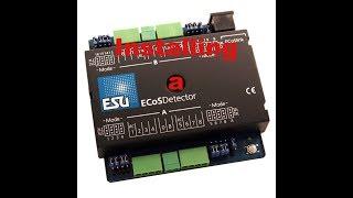 ECoS Detector Install