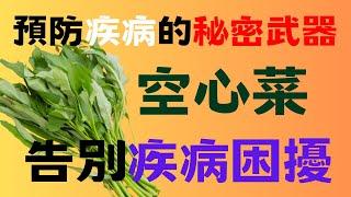 探索綠色寶藏：空心菜｜預防疾病的秘密武器｜空心菜不僅僅是一種美味的食材｜告別疾病困擾｜降低血壓｜調節膽固醇｜消化系統｜免疫力｜糖尿病｜心臟健康｜骨骼健康